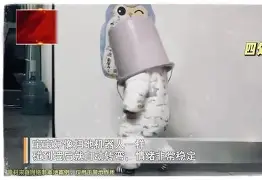 黄金瞳电视剧全集观看免费版高清